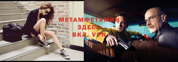 сатива Няндома