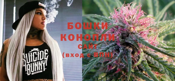 стафф Новодвинск