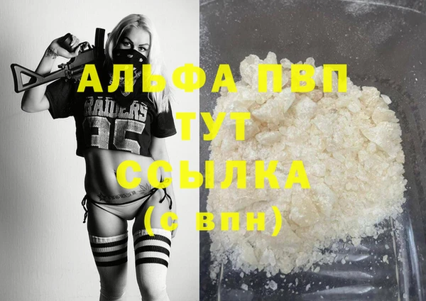 стафф Новодвинск