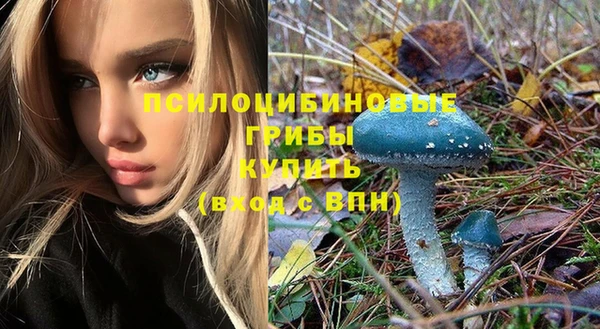 дживик Новокубанск