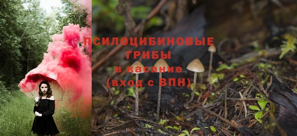 прущие грибы Нягань