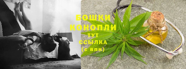 дживик Новокубанск