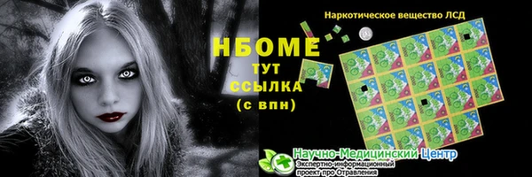 сатива Няндома